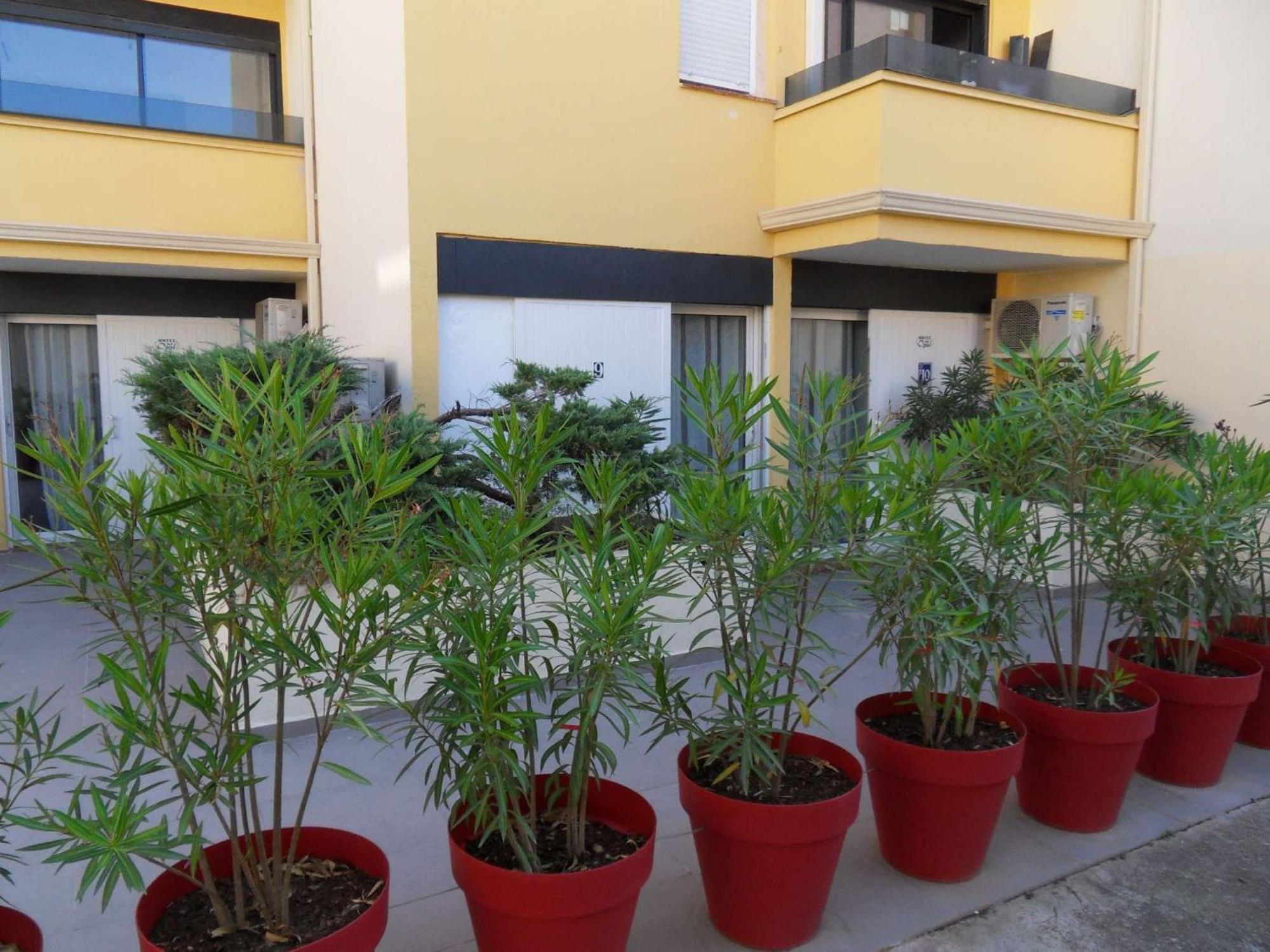 The Originals City, Hotel Cap Maya, Cap D'Agde Εξωτερικό φωτογραφία